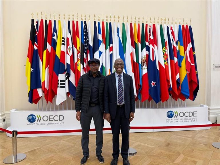 Co-Investing in Africa’s Future: How Philanthropy Can Strengthen Domestic Resource Mobilisation